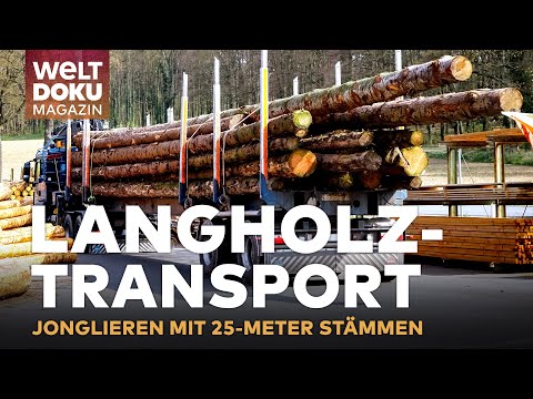 MEGA-HERAUSFORDERUNG LANGHOLZTRANSPORT! Tonnenschwerer Mikado-Meister auf Rädern | WELT Doku Magazin