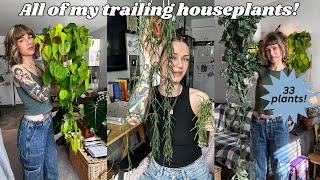 my huge indoor trailing plant collection! 33 species with tips and tricks 🌿