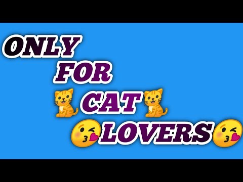 Only for cat lovers 🐈🐈😍😘 status song ,  #Sudiksha status maker