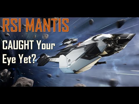 RSI Mantis Review Rated By Billionaire Ninjas (Better Video)