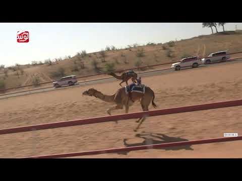  ش 5 (مرويه) لـ علي سالم سعيد المسافري 13:18 ، شارة الديوان 2026/2/21 ثنايا السوان