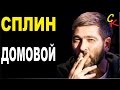 ДОМОВОЙ - Сплин (А.Васильев) Бой+ПРАВИЛЬНЫЕ аккорды (КАВЕР) 