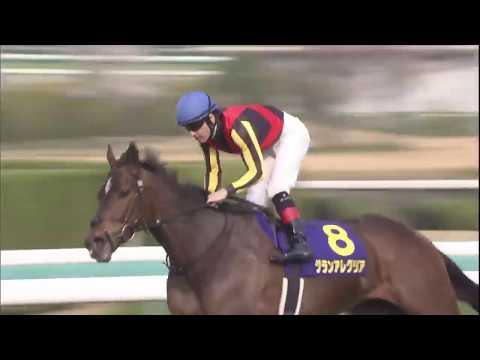 2019 桜花賞 (GⅠ) 直線