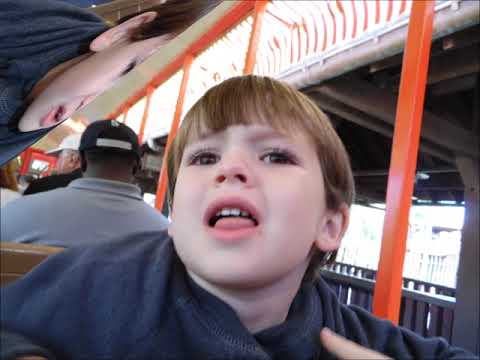 Our Family Photos 2016 through 2017