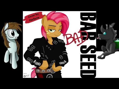 Perfecta - Who's Babs? (Cover)