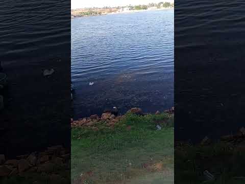 lago de Carmo do rio verde go