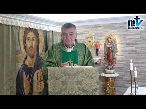 "¿Has Pensado en qué haría Cristo si Estuviera en tu Lugar?" | Homilía, XXX Domingo del T.O (25-10-2026) | P. Santiago Martín, FM