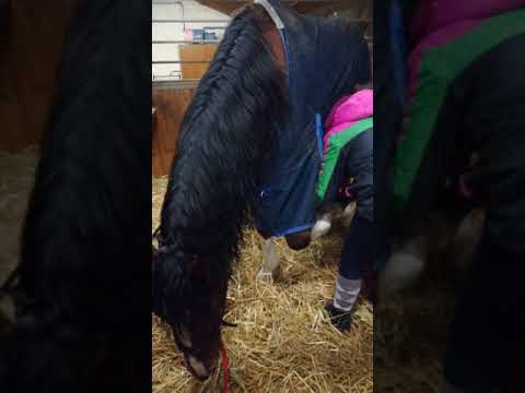 November 2018 - Huforthopädie und Beintraining - Teil 2 von 3