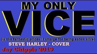 My Only Vice - Steve Harley cover