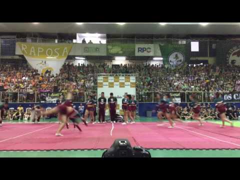 Snakets - Nível 2 Engenhariadas Paranaense 2017