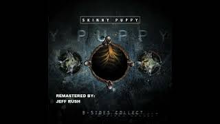 Skinny Puppy - B-Sides Collect (Full Album) (Remastered) (1999)