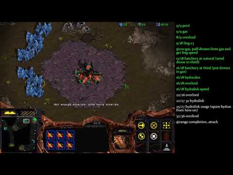 Endymion's 3 Hatch Hydra Build Order