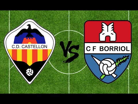 Resumen C.D.CASTELLÓN 1-0 C.F. BORRIOL