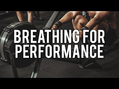 How To Breathe Properly | Brian Mackenzie | Modern Wisdom Podcast 121