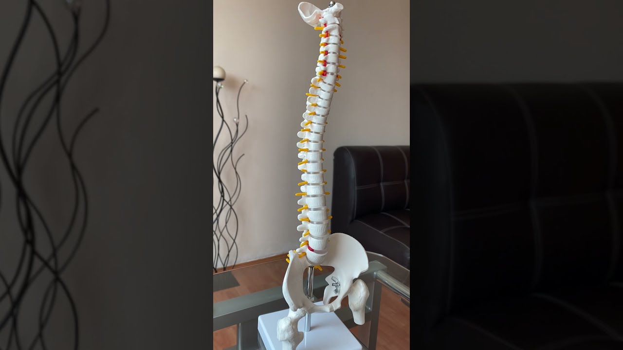 Miguel Angel Fuentes Rivera-10