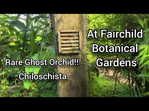 Fairchild Botanical Gardens Conservatory for Rare Tropical Plants Tour