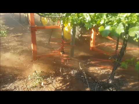 vine shoot remover Australia