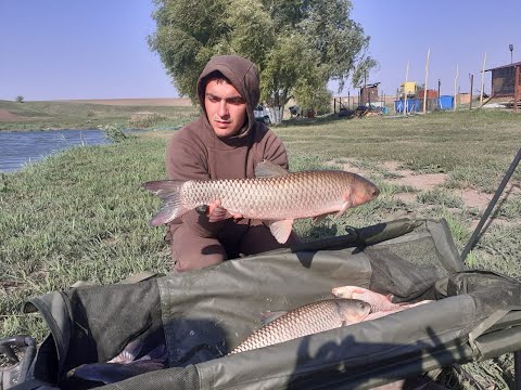 Abordare-Prezentare balta-Plus mosmoande la Danesti 6:)