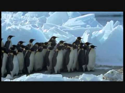 Find your own voice  Jayne Cortez