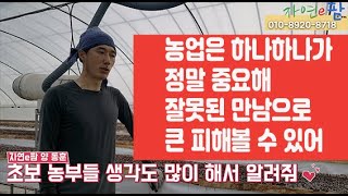 딸기 고설재배 혼합상토 보충 그리고 코코피트 설치 방ᄇ…