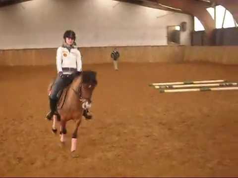 Dressurtraining am 17.12.2011