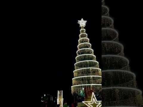 Salta #paisajesargentinos #navidad #vistashermosas #christmas #viajes