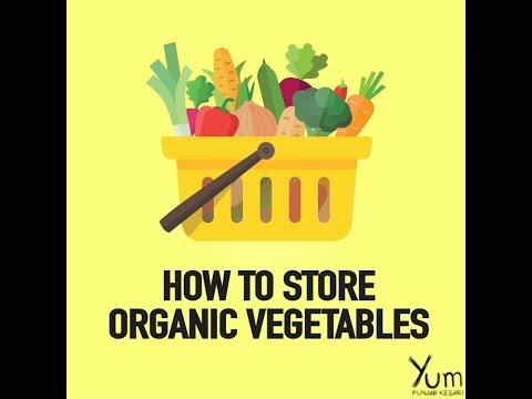 download lagu mp3 mp4 How To Store Organic Vegetables, download lagu How To Store Organic Vegetables gratis, unduh video klip How To Store Organic Vegetables