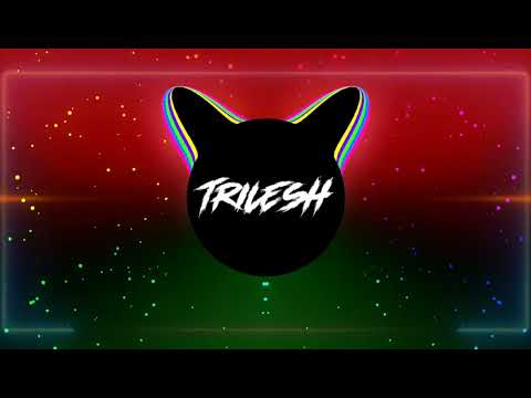Ble Salva - Menase Moi - Ragga Remix (TRILESH Remix)