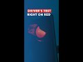 Turning Right at Red Traffic Light Safely & Correctly