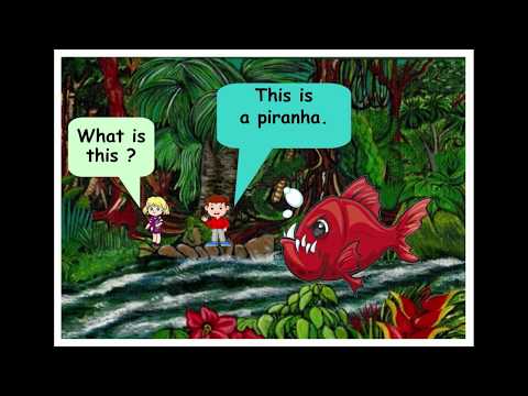 ANIMALS IN SOUTH AMERICA