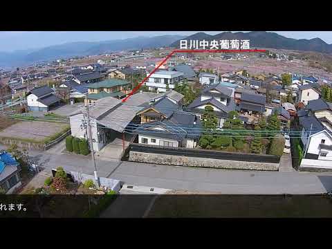 日川中央葡萄酒周辺の空撮