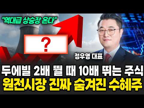 두에빌 2대 뛸 때 10배 뛰는 주식 원전시장 진짜 숨겨진 수혜주 (정우영 / 증시임당)