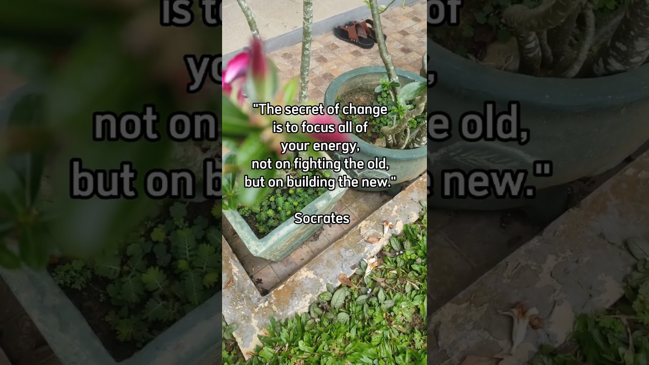 Best 5 Saturday Quotes About Change | Happy Weekend Quotes