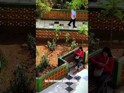 Huanuco pachitea
