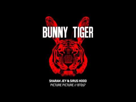Sharam Jey & Sirus Hood - Picture Picture - BT017
