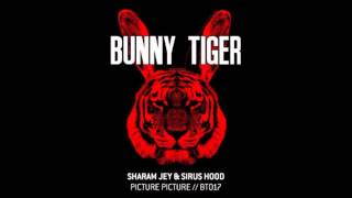 Sharam Jey & Sirus Hood - Picture Picture - BT017