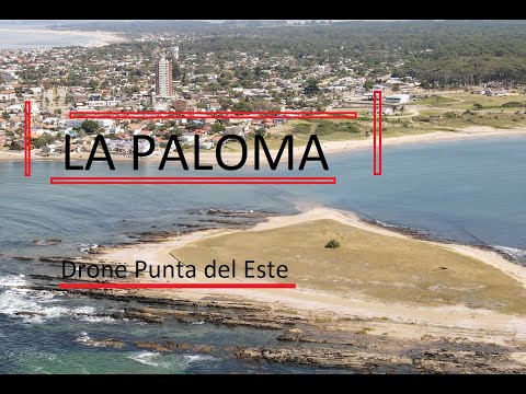 La Paloma - Rocha (Isla La Tuna - Bahia) __ Drone