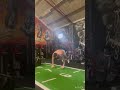 Insane Push Up Variations 🦍
