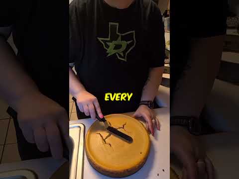 Split Cheesecake 🍰 @wizaurus