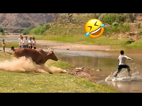 Try Not to Laugh 😂 | Top 100 Funniest Videos Ever 🔥 (Memes, Fails & Pranks 1)
