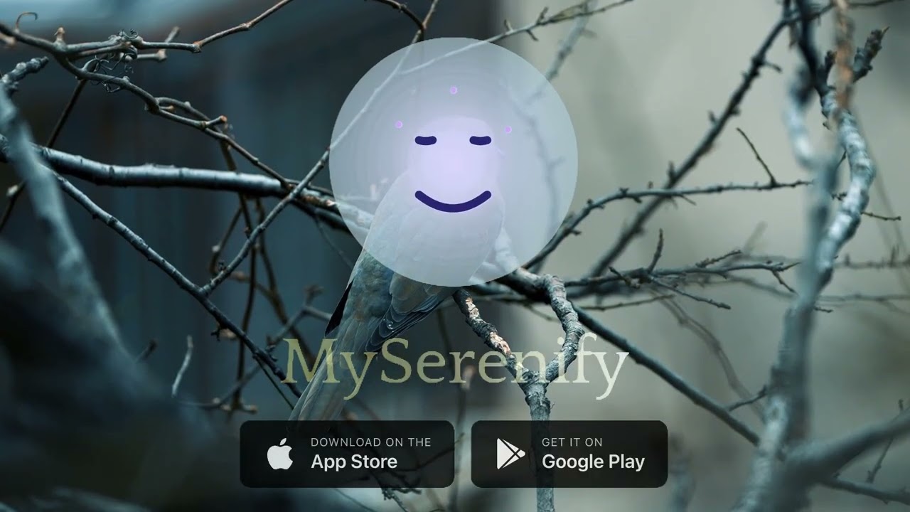 Leading Meditation App Development Company | Innovate Mindfulness, meditation app development company