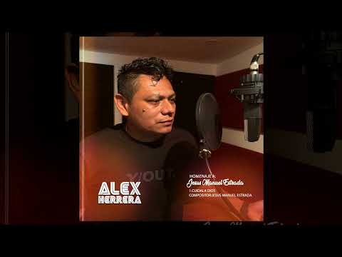 CUIDALA DIOSITO - ALEX HERRERA @vallenato.50 Tributo a Jesus Manuel Estrada #musica #vallenato #1k 