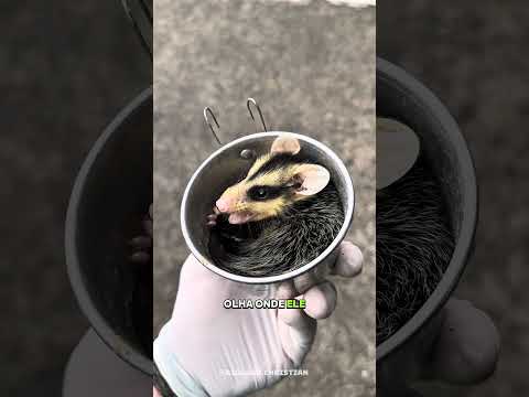 Que diaaaa! 😍😍😍