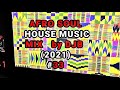 Afro Soul House Music Mix JUNE 2021 DJB 33