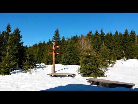 Dreieckiger Pfahl - Stempelstelle 168 der Harzer Wandernadel