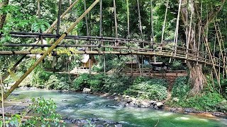 preview picture of video 'Jembatan Bambu Gantung Desa Gajeboh Ikon Baduy Luar'