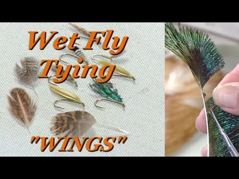 Fly Tying Wings with Davy Wotton