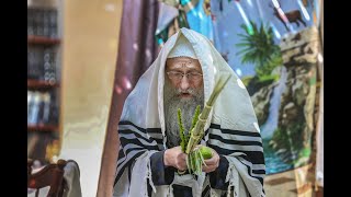 כ''ק האדמו''ר מנדבורנה בנענועים