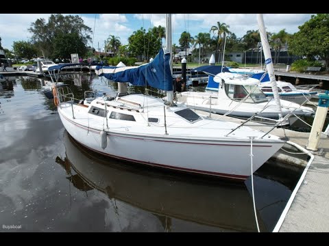 Catalina Capri M26 Pocket cruising yacht - Walkthrough