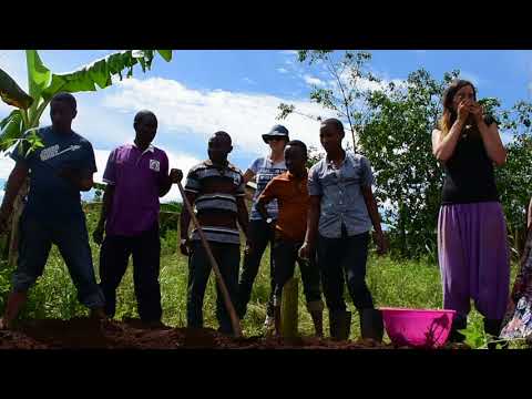 Banana Guild Practical